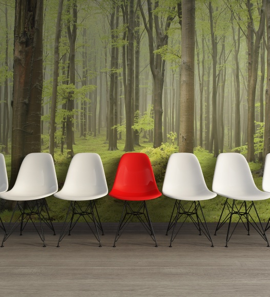 4741-foto-tapet-3d-pidure-personalizat-rebel-walls