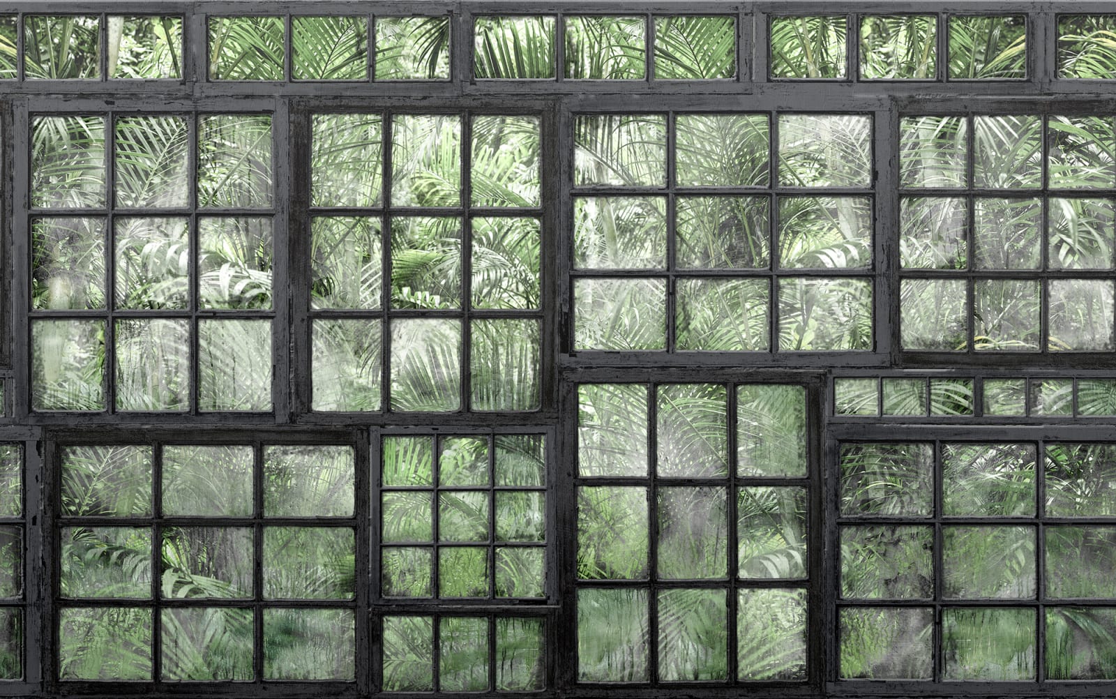 137532-foto-tapet-3d-perspective-jardin-noir-personalizat-rebel-walls