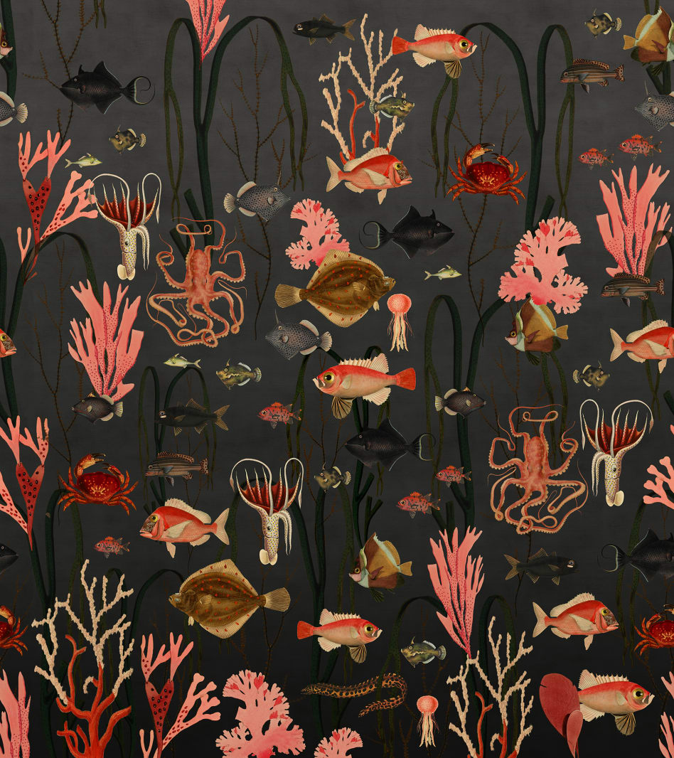 137554-foto-tapet-3d-aquatic-life-shadows-personalizat-rebel-walls