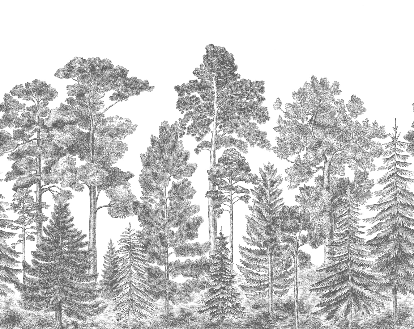 137592-foto-tapet-3d-scandinavian-bellewood-gray-personalizat-rebel-walls