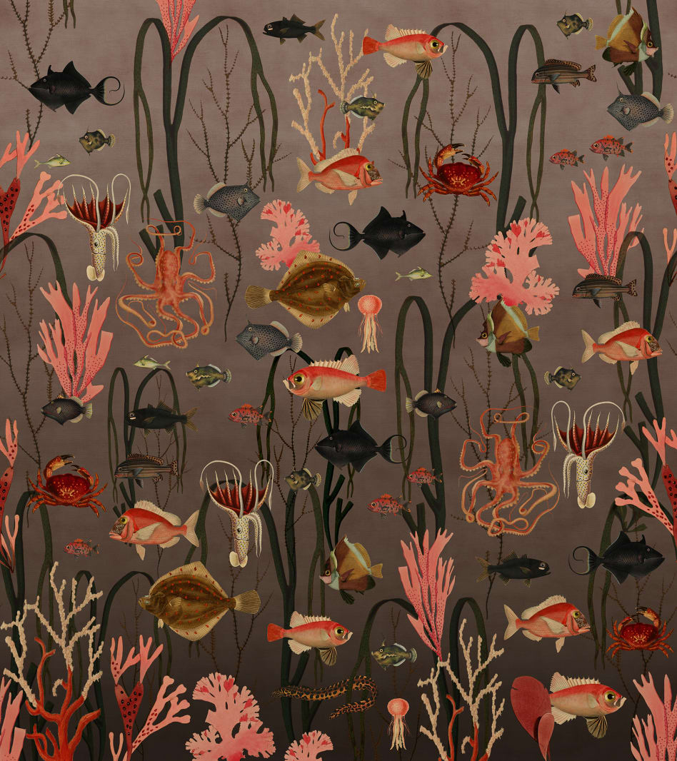 137597-foto-tapet-3d-aquatic-life-coral-personalizat-rebel-walls