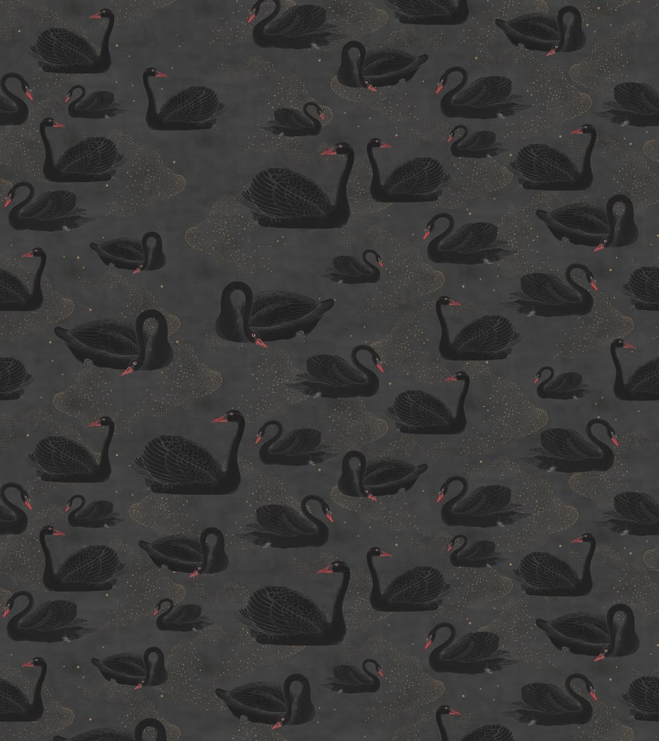 137633-foto-tapet-3d-cygne-noir-personalizat-rebel-walls