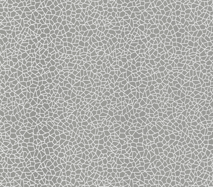 1838160110706-1