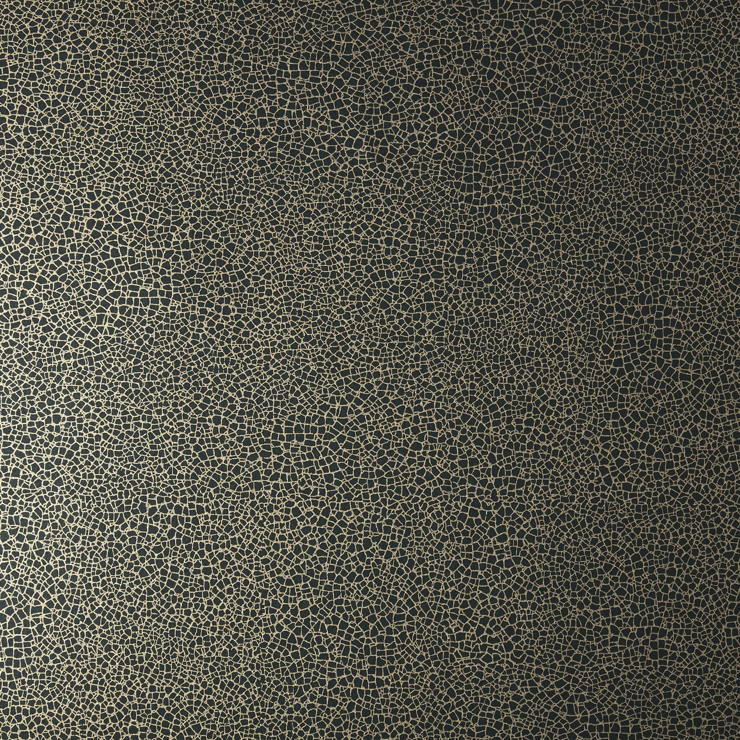 1838190714106-2