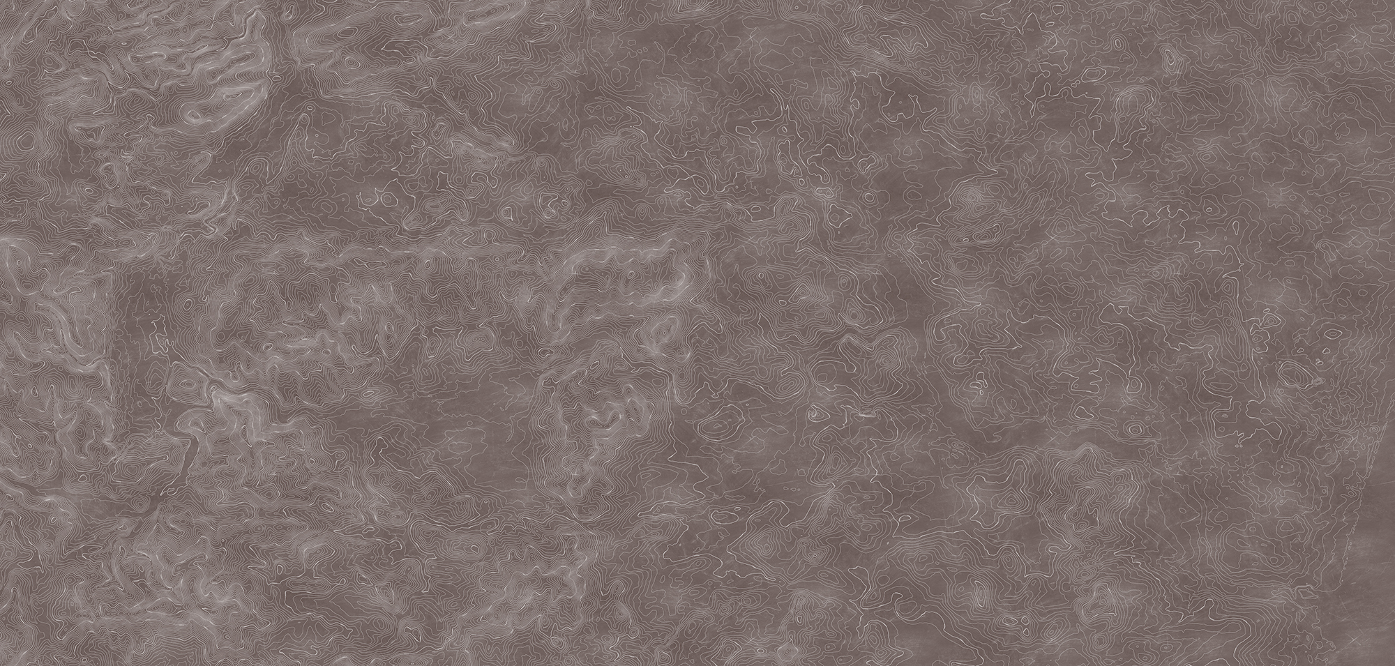 47118-fototapet-elevation-lines-personalizat-rebel-walls