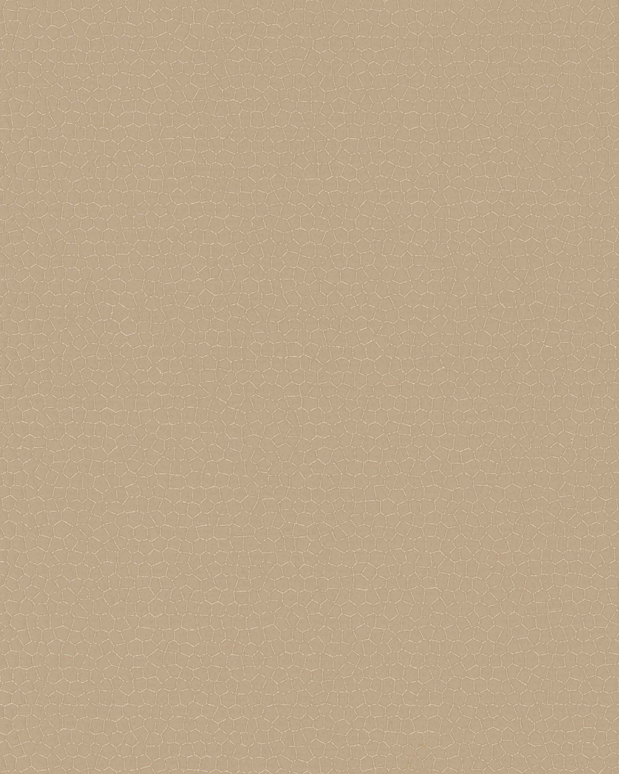 6451473_01