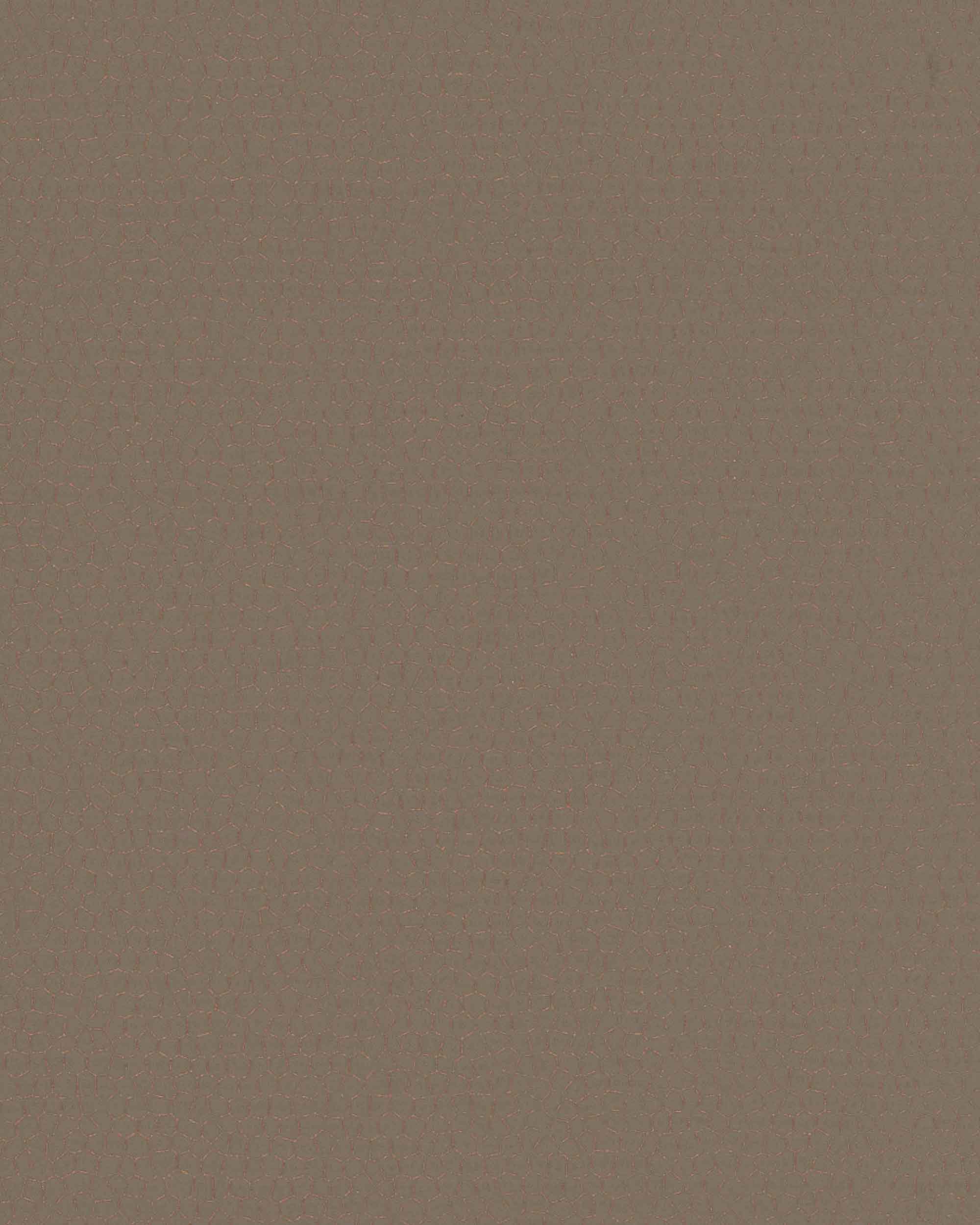 6451481_01
