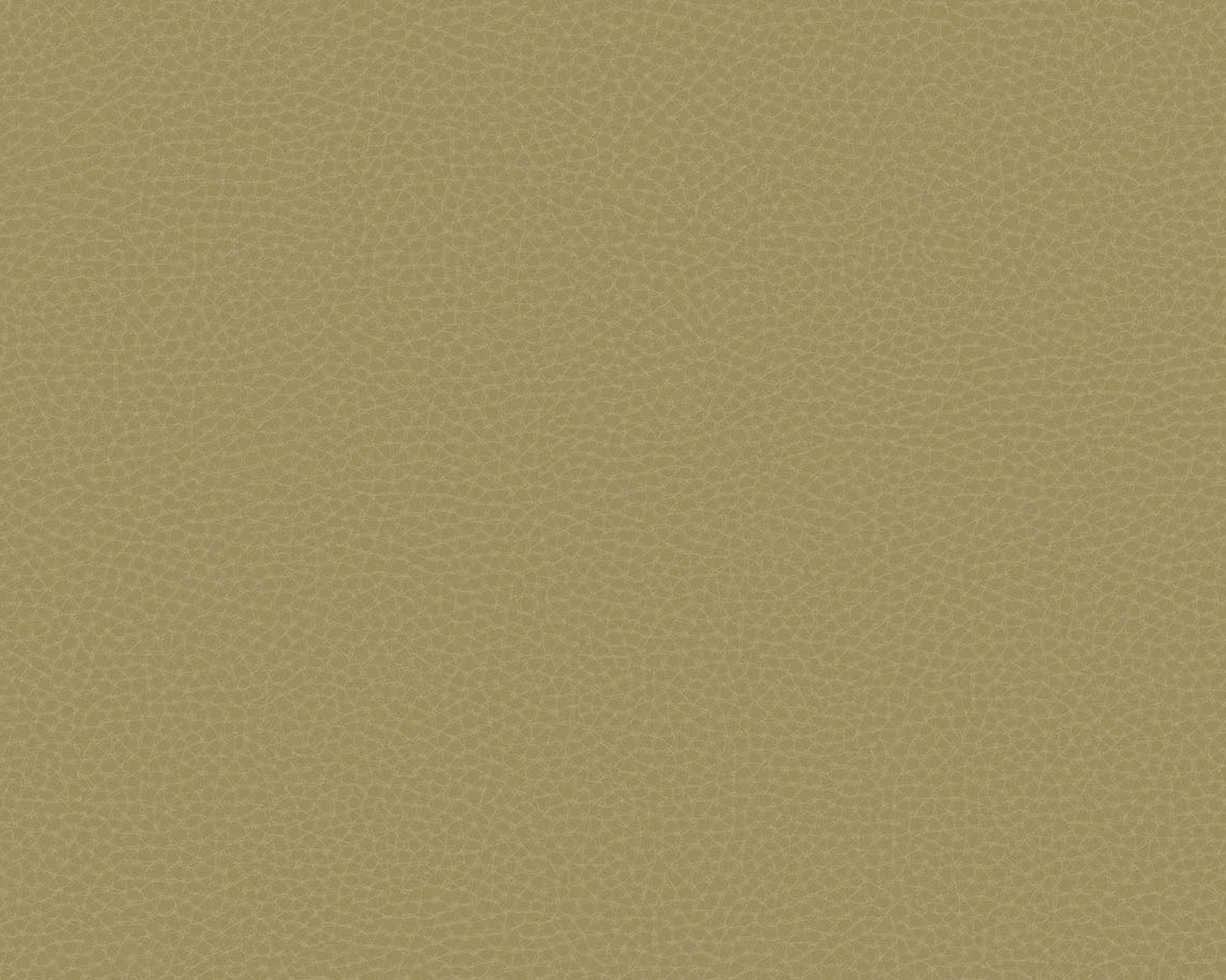 64788005