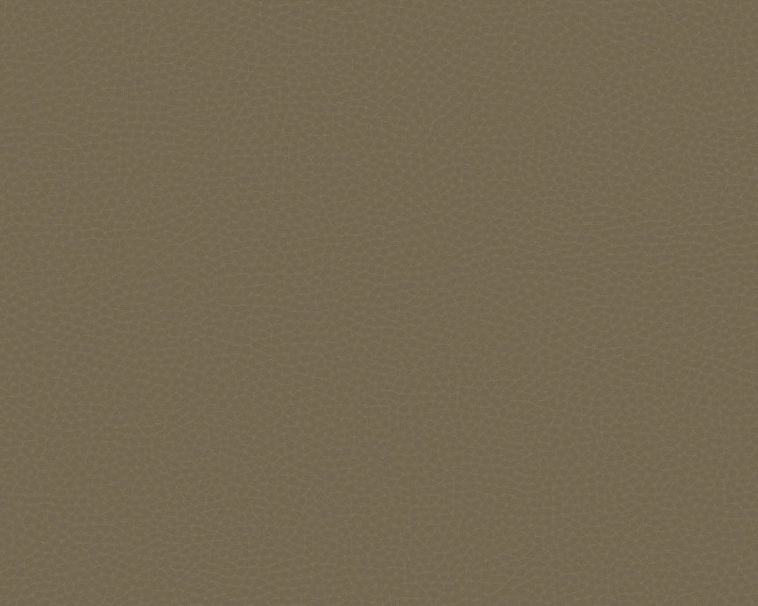 64788016
