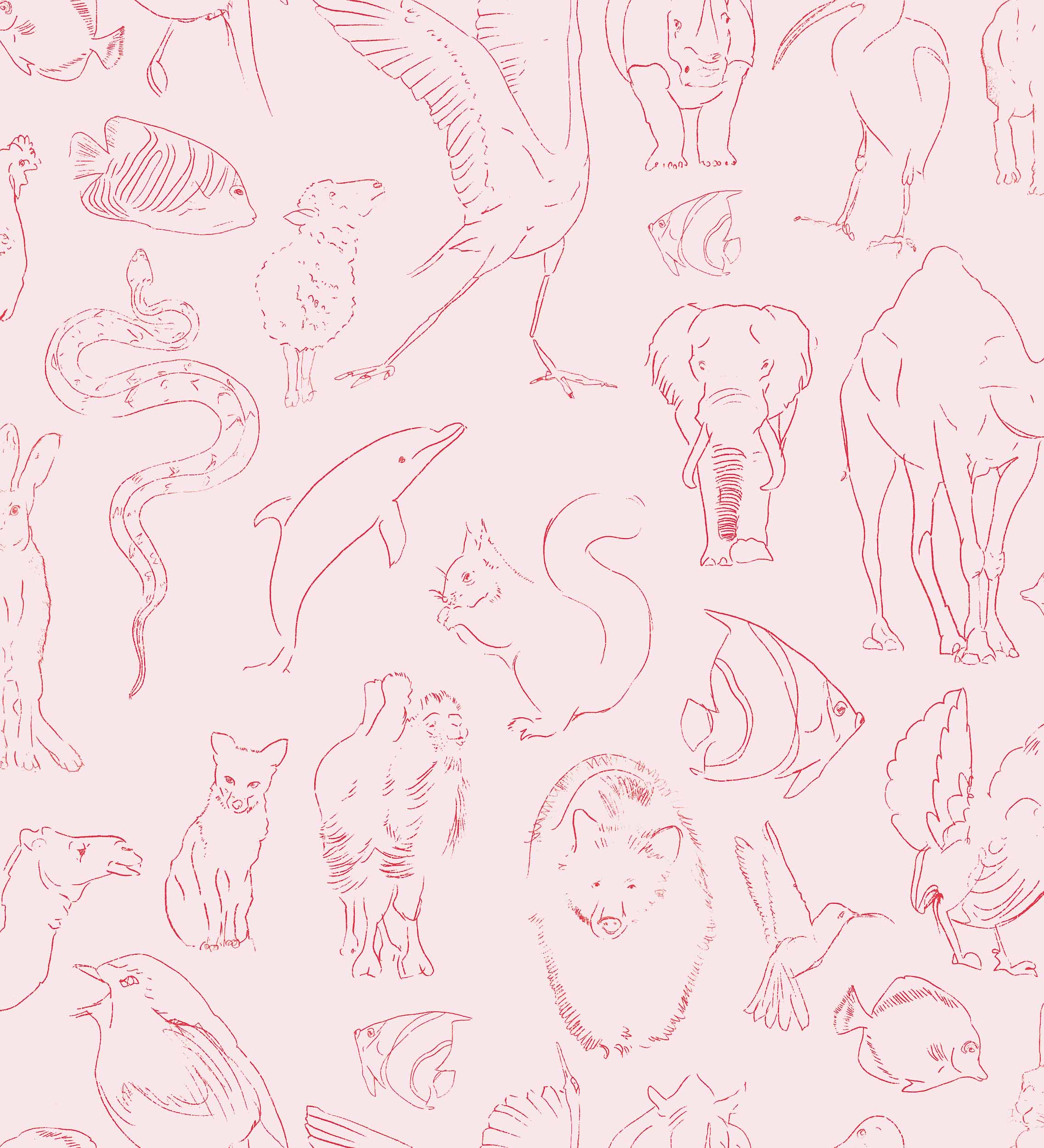 9700181-zoology-candy-wallpaper-coordonne