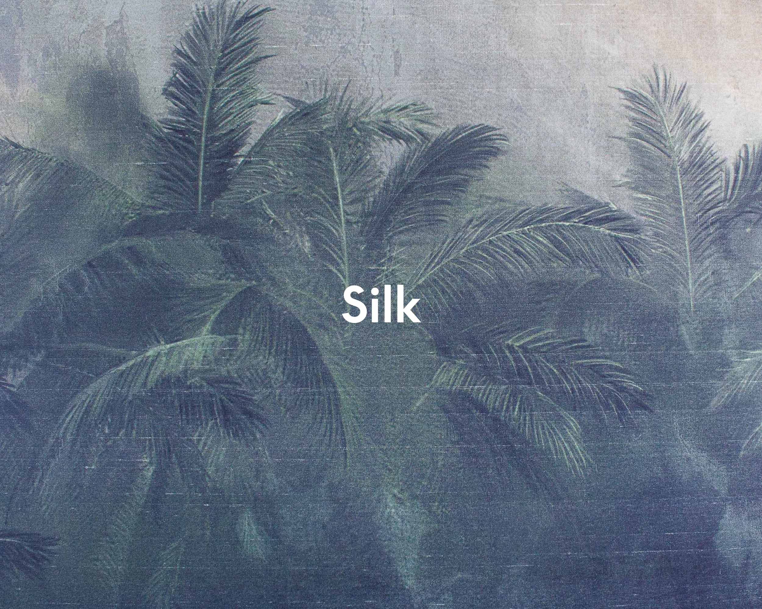 A00322_01_SILK