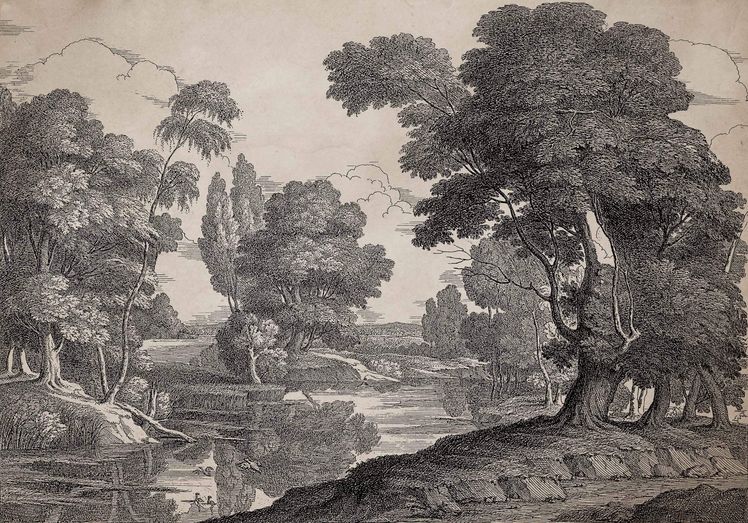 B00367-engraving-ink-murals-coordonne