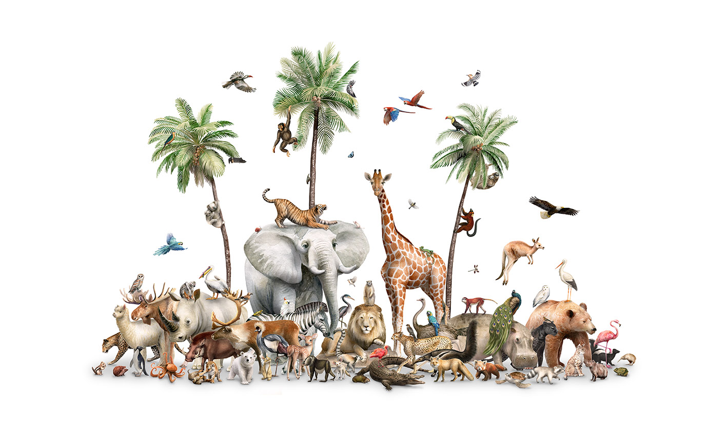 Beautiful_Biodiversity