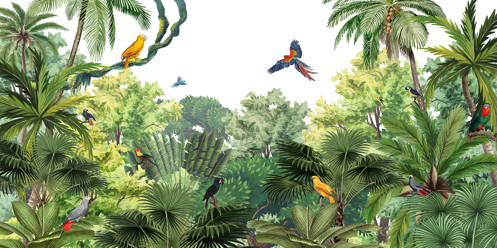 Canopy_Jungle