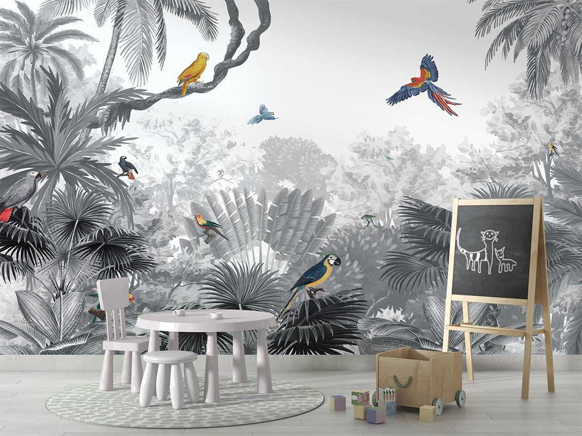 Canopy_Jungle_-_BW_-_School_board