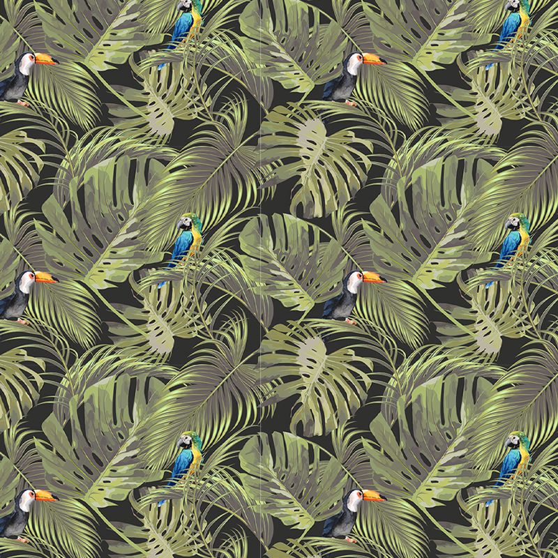Exotic-air_tapet_vladila_1