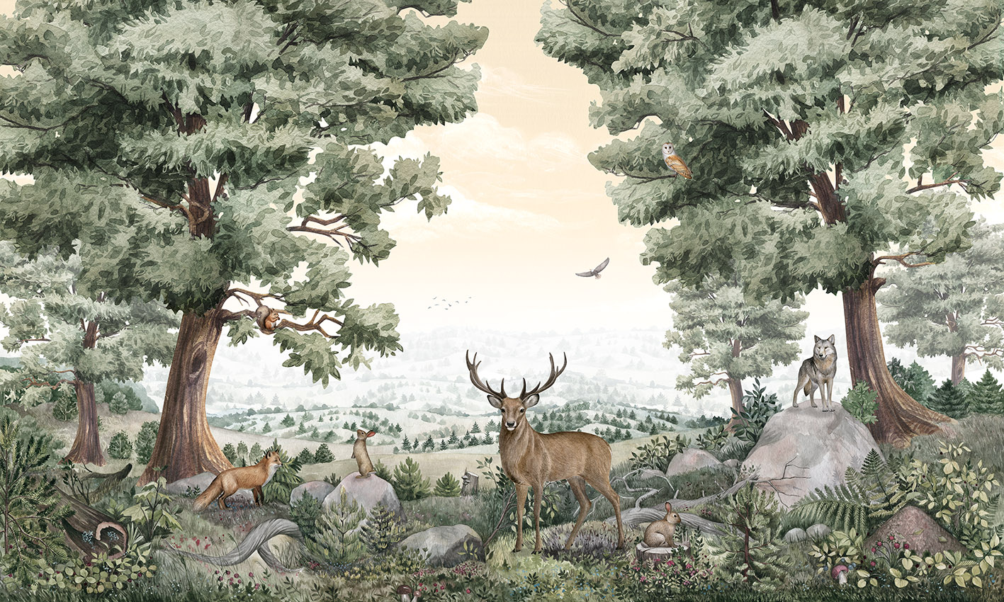 Forest_Vista