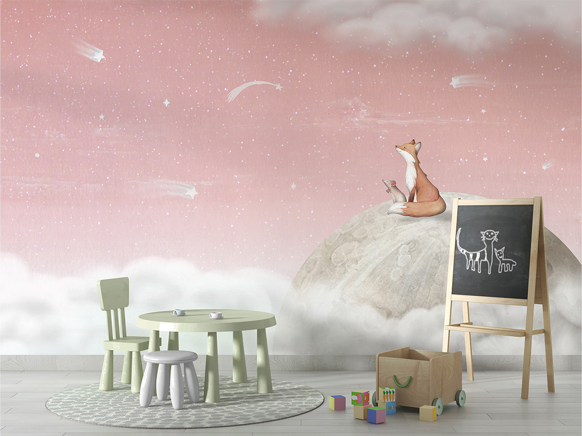 Fox_on_the_Moon_-_Pink_-_School_board