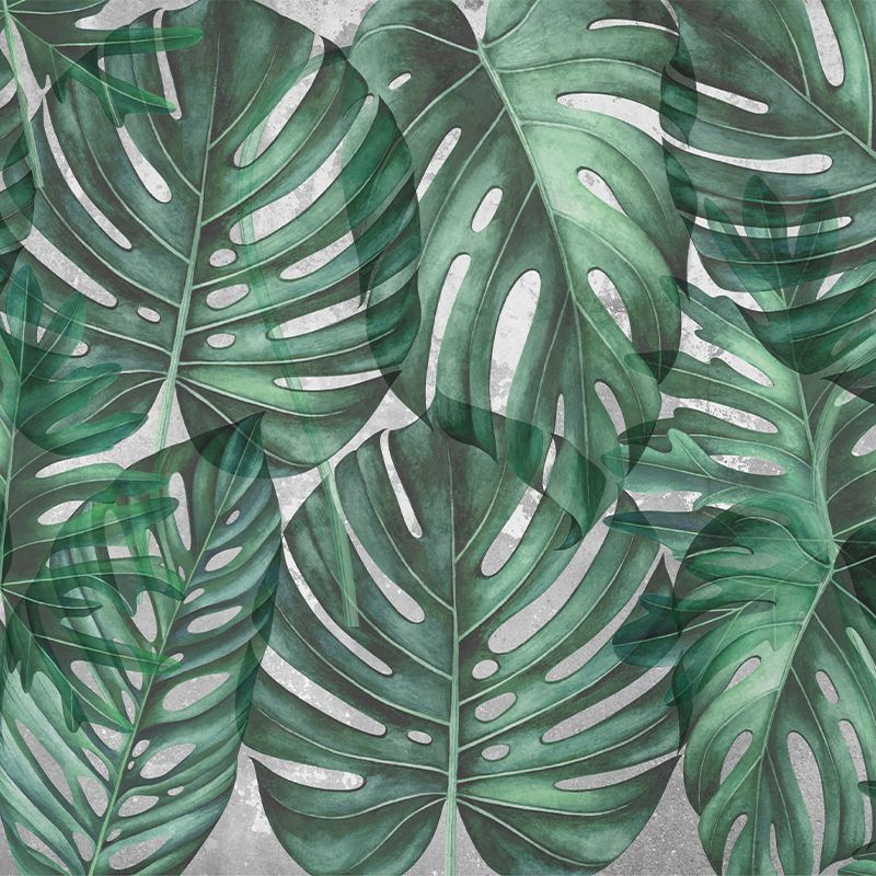 Green-Philodendron_tapet_vladila_1