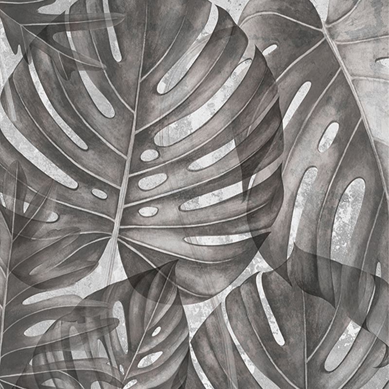 Grey-Philodendron_tapet_vladila_1