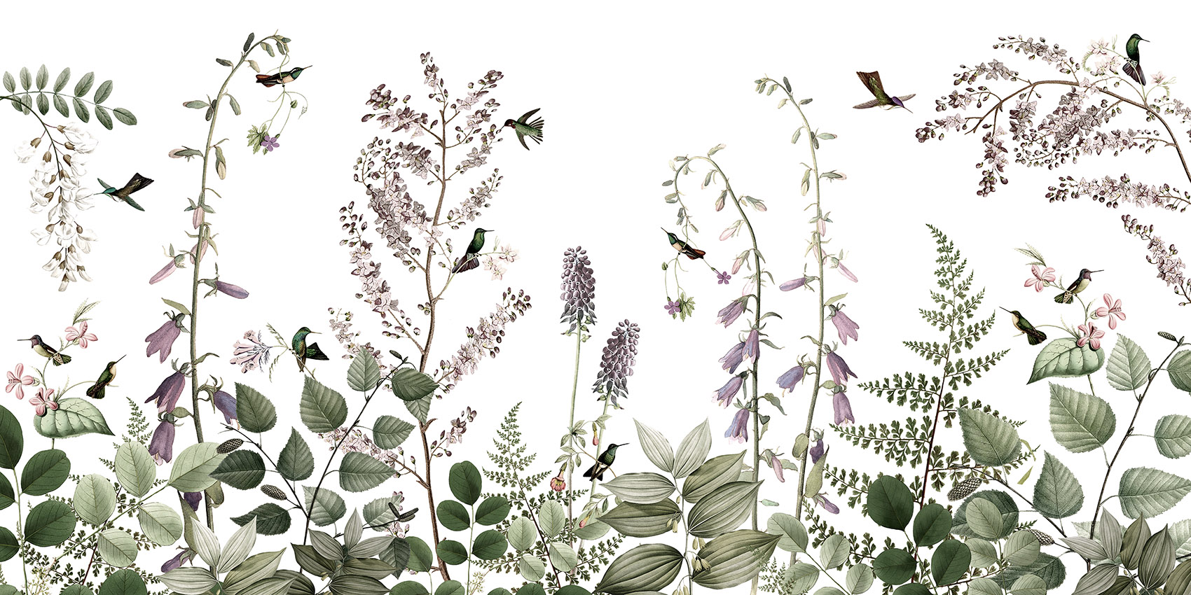 Hummingbird_Hedge