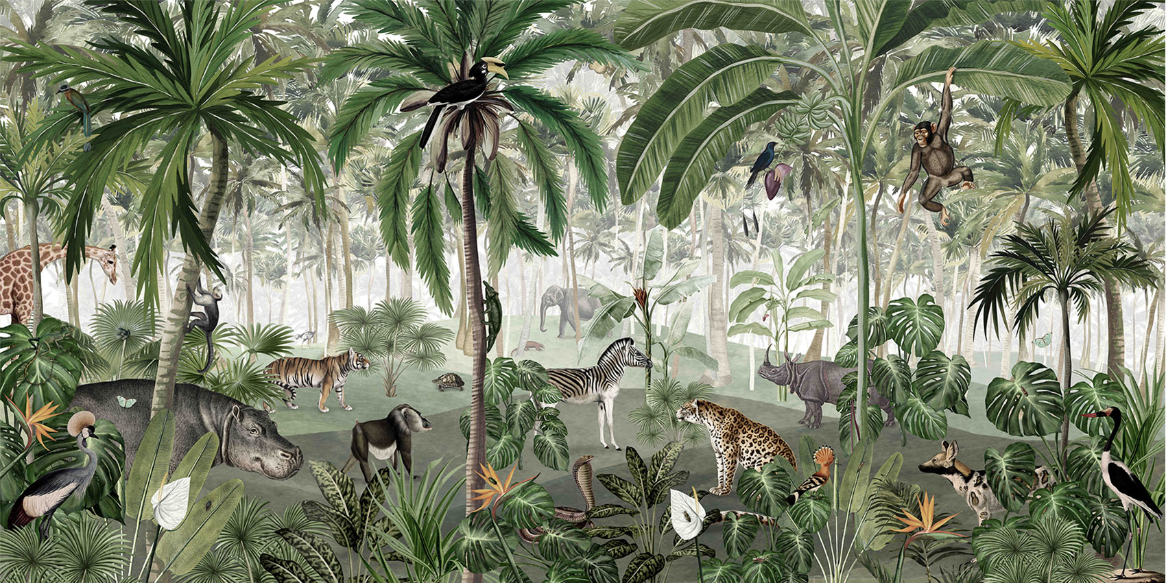 Jungle_Lookbook