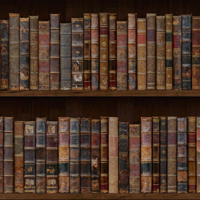 Library-Style_tapet_vladila_1