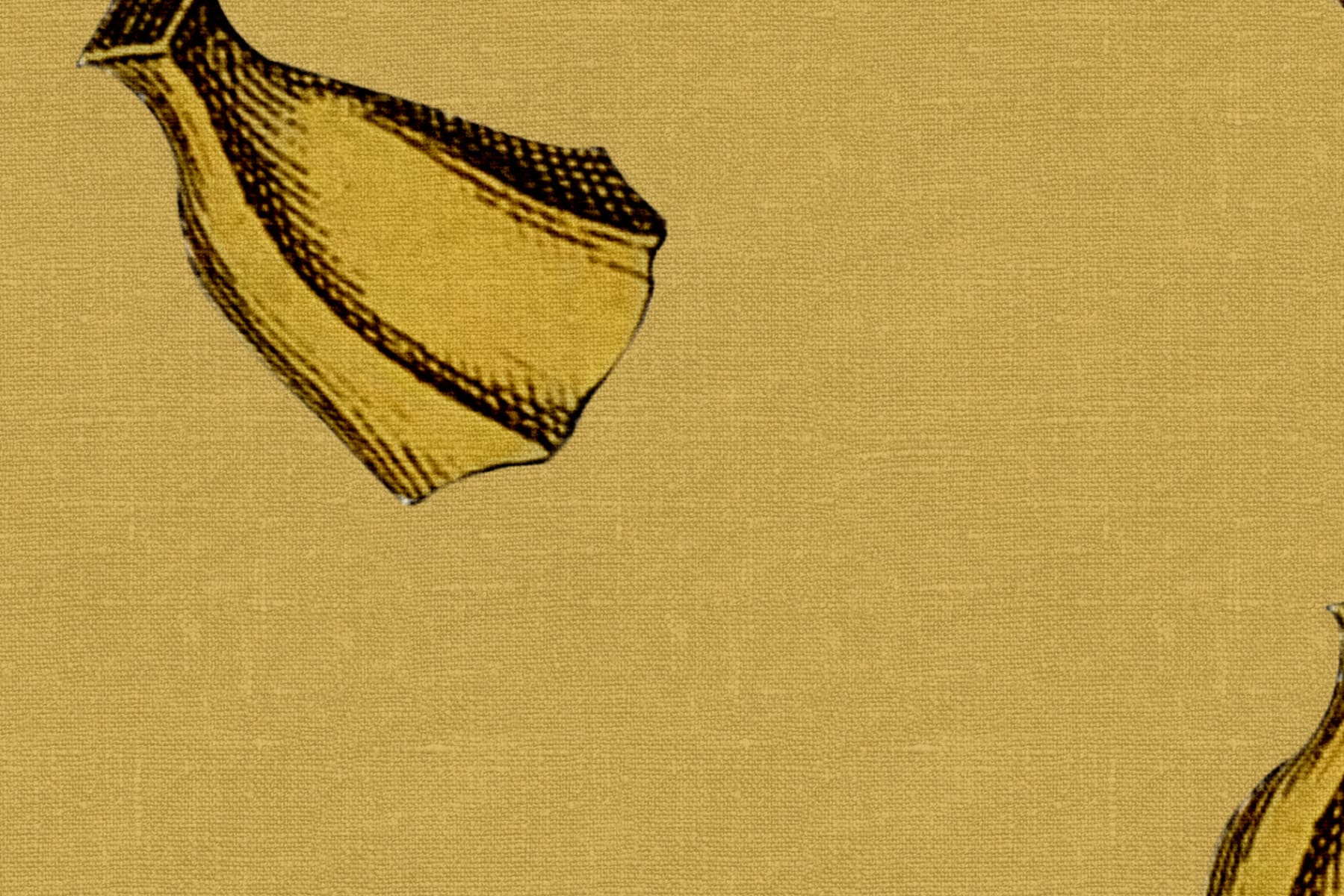 R19645_closeup1