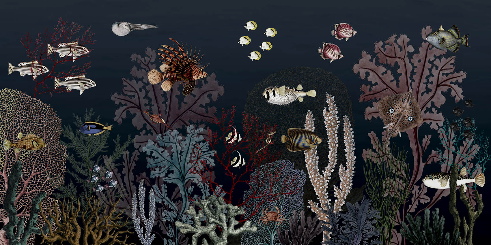 Roaring_Reef_-_Blue