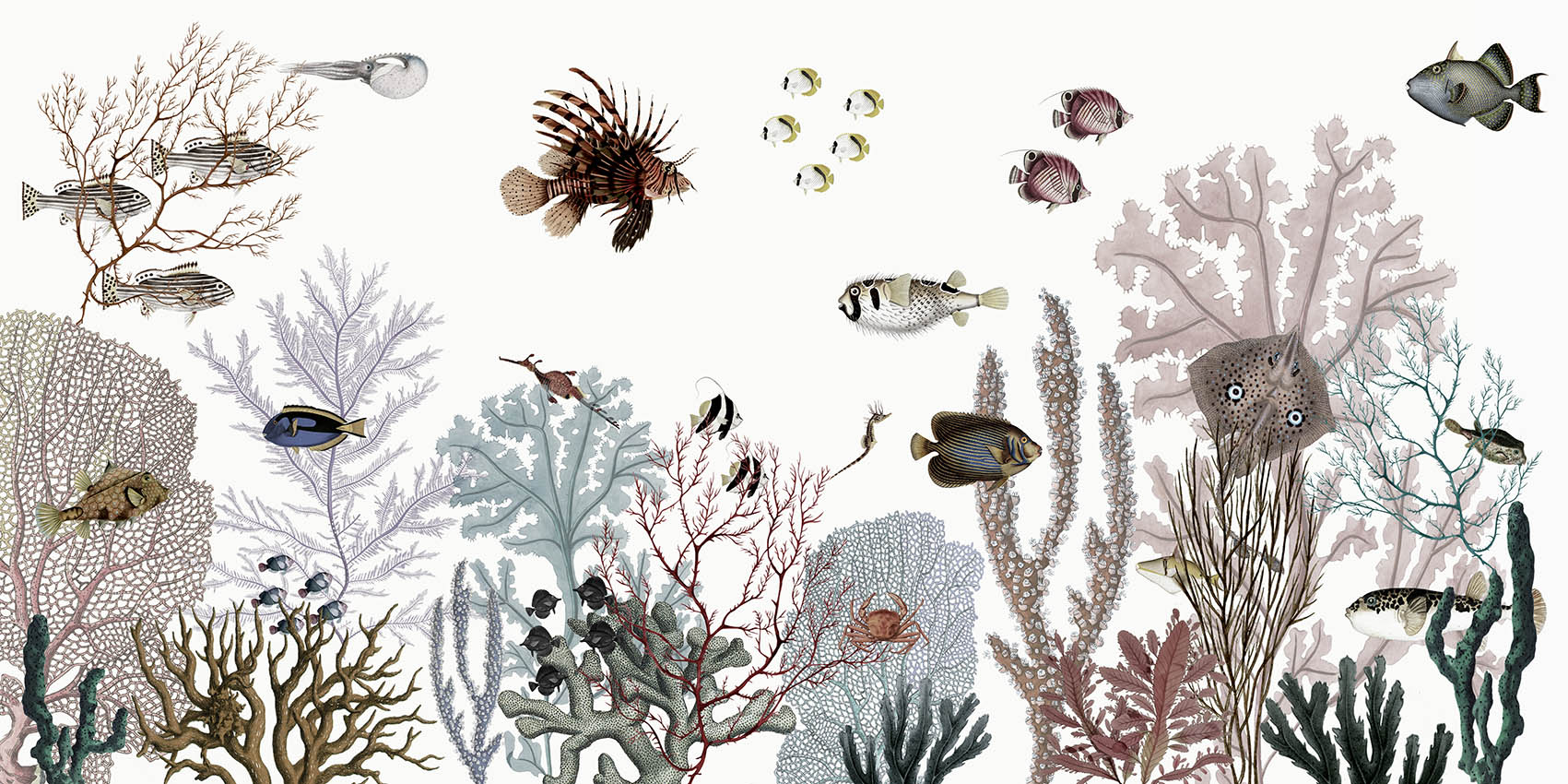 Roaring_Reef_-_White