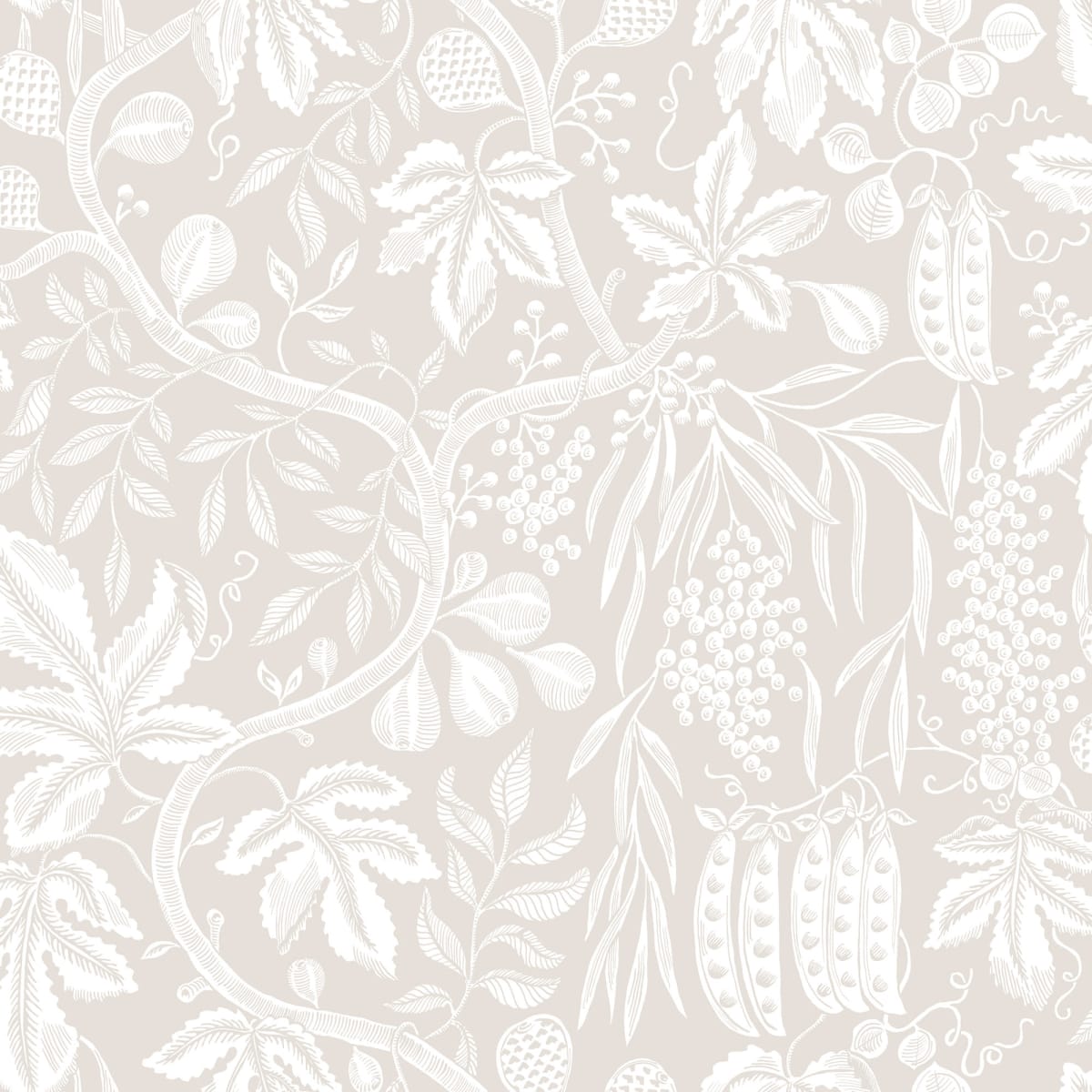 S10258_product