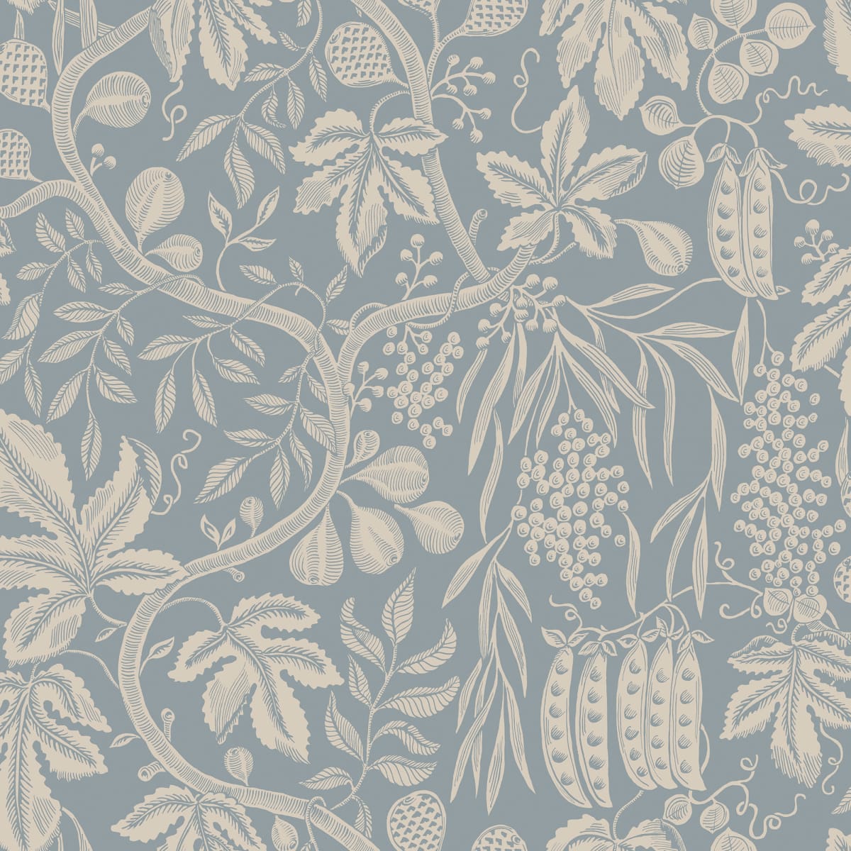 S10260_product