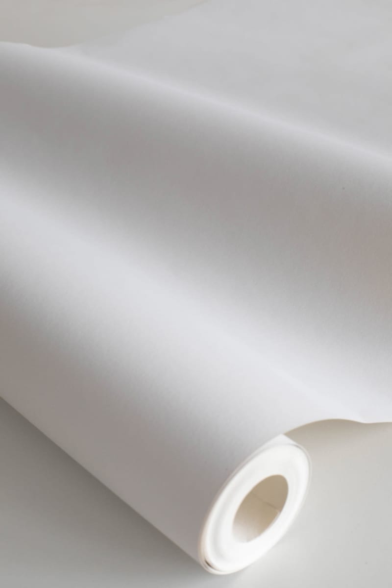 S10312_closeup1