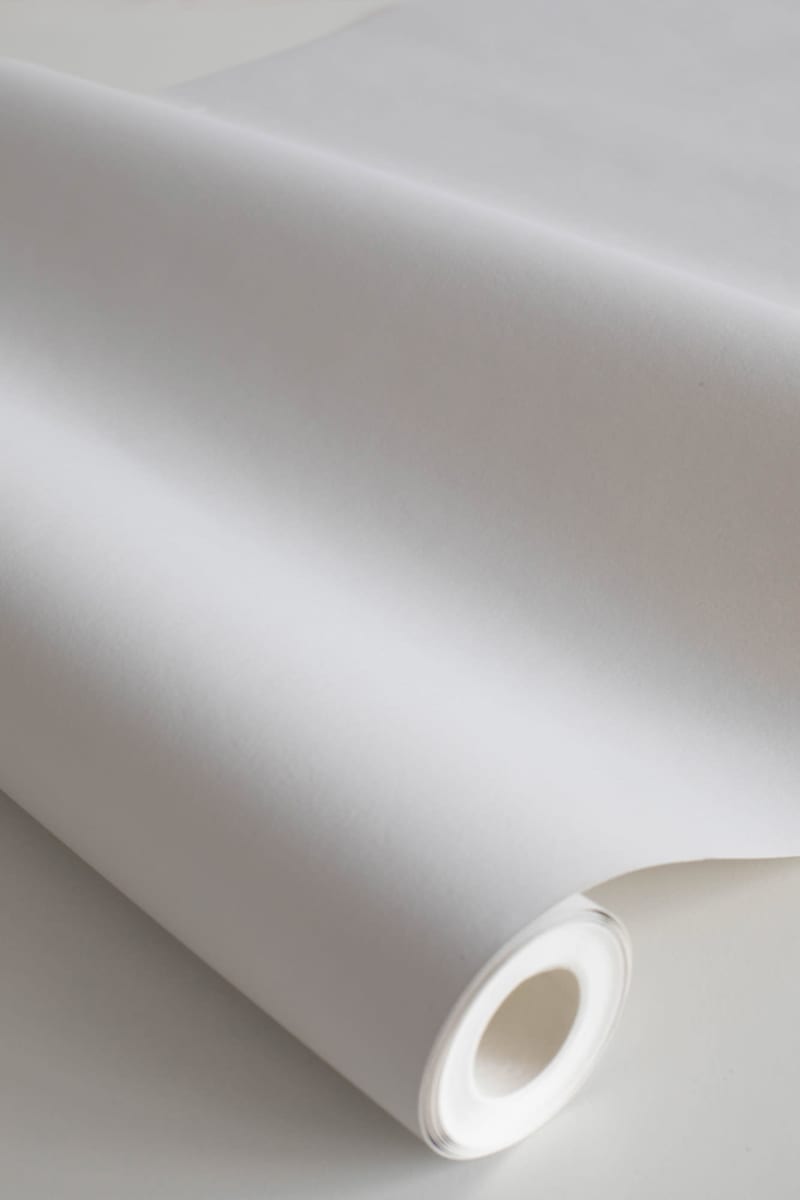 S10313_closeup1