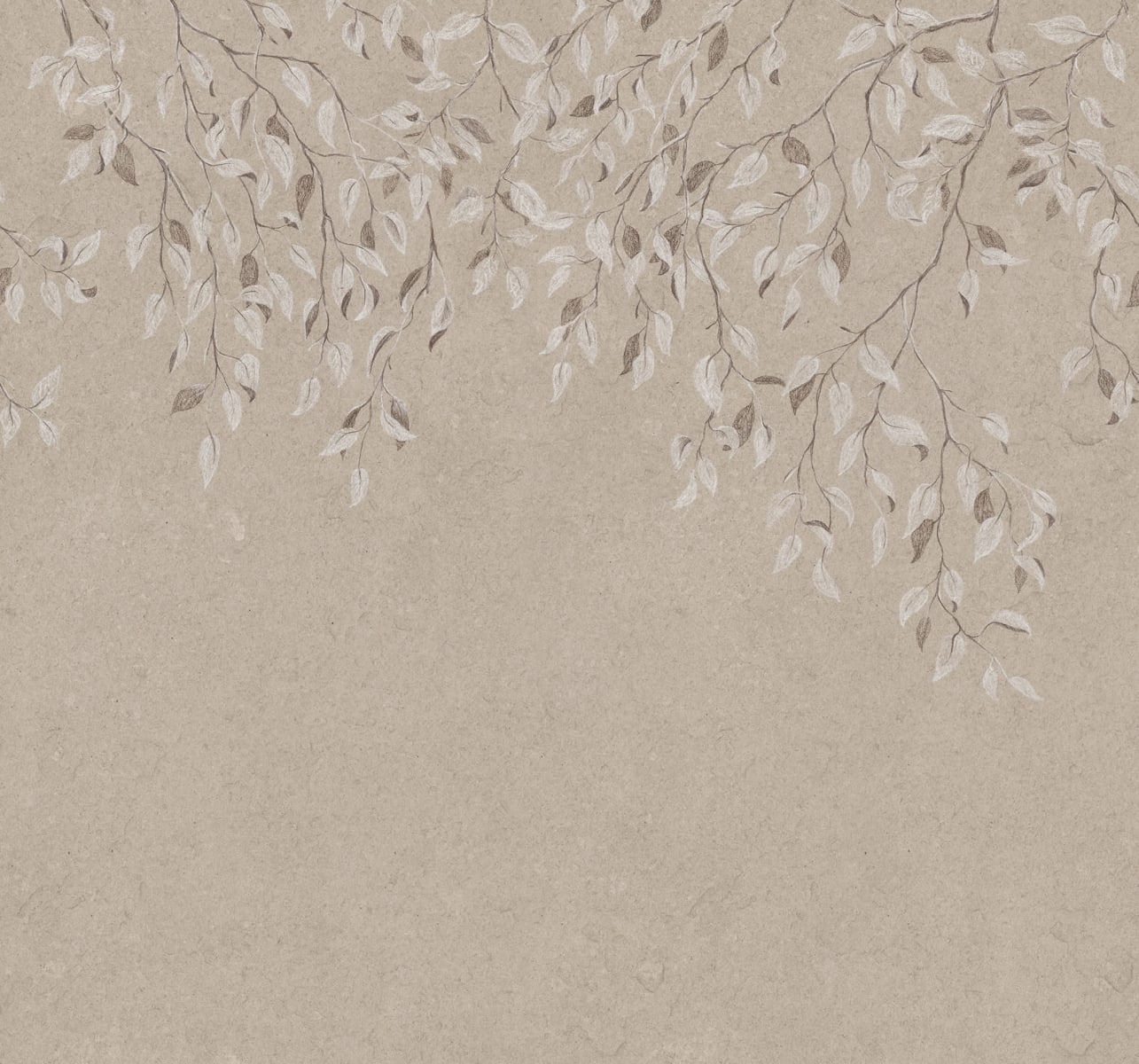 S10355_product