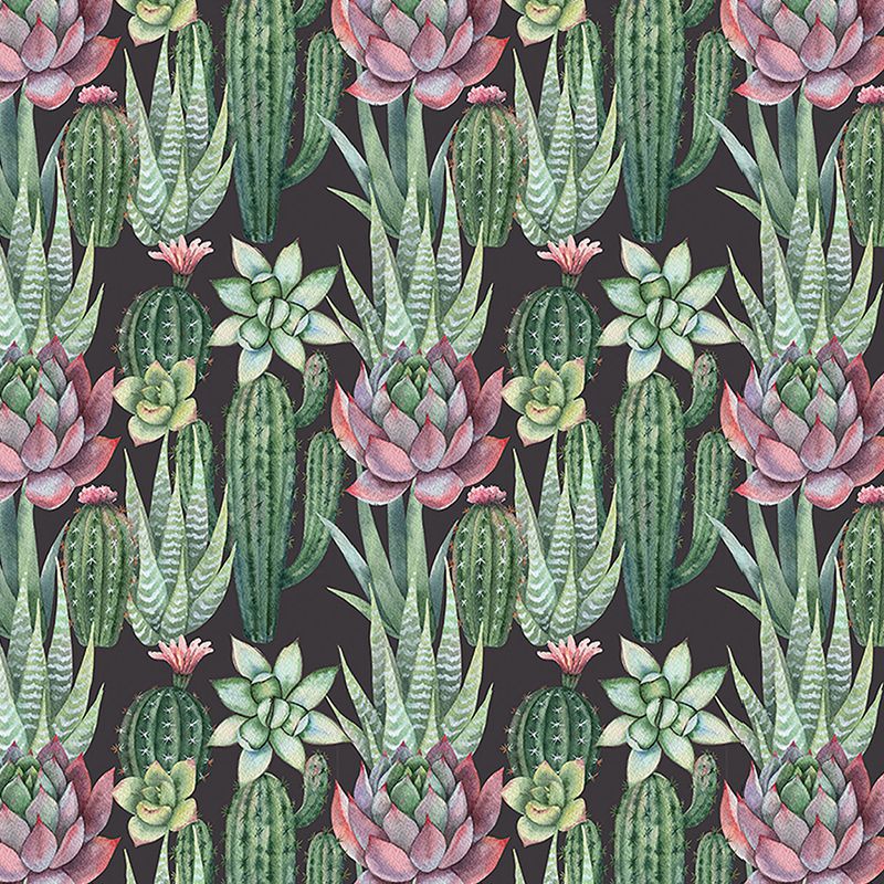 Succulents_tapet_vladila_1