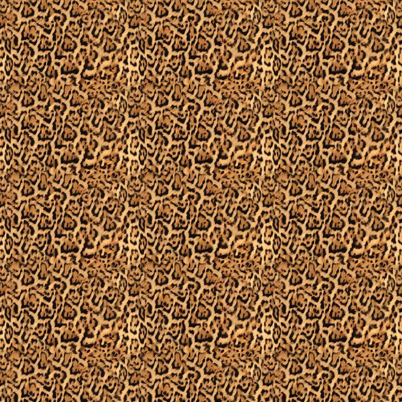 Tapet-Farfugium-model-vladila