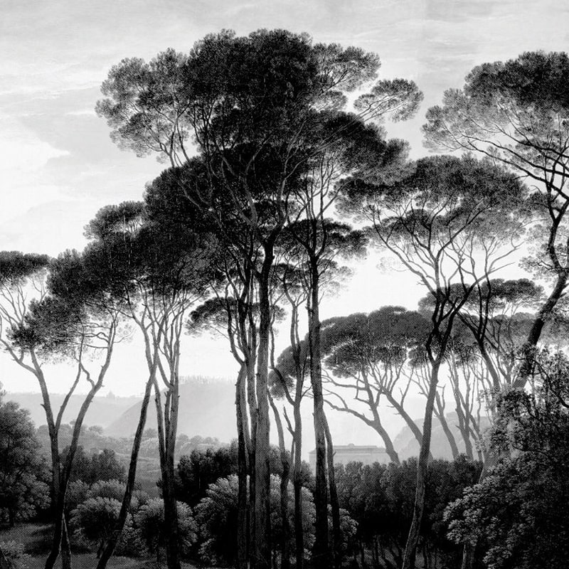 Tapet-Taormina-Pines-vladila