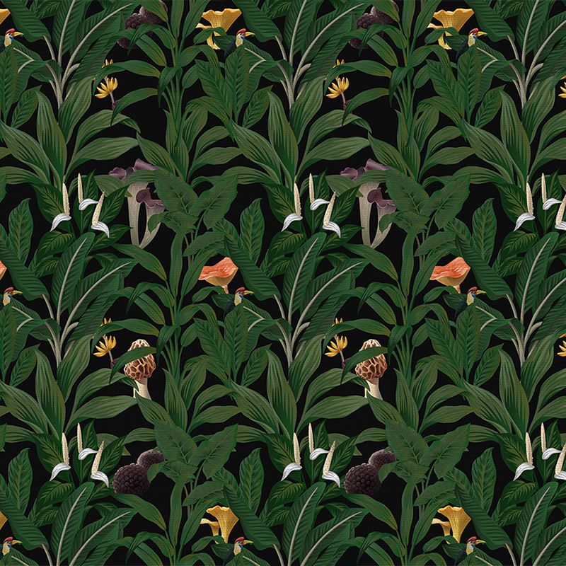 Tropical-Story_tapet_vladila_1