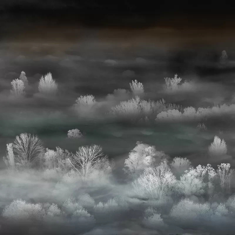 VLDLW0738_Foggy-Landscape-Nightview-im1