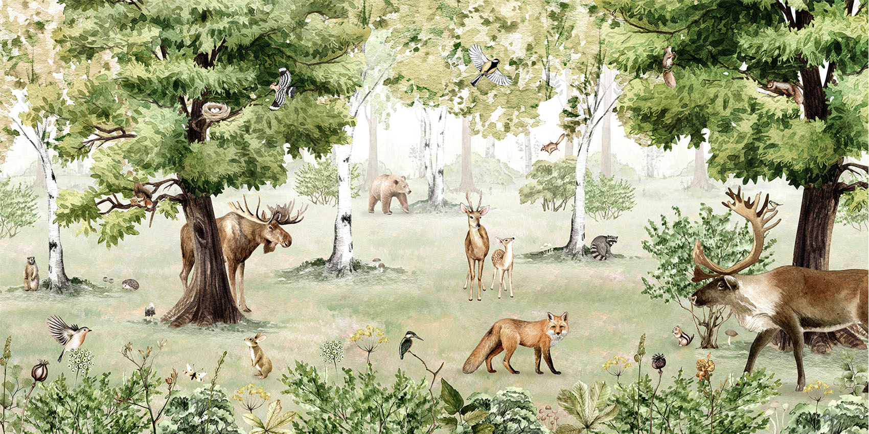 Woodland_Wonders
