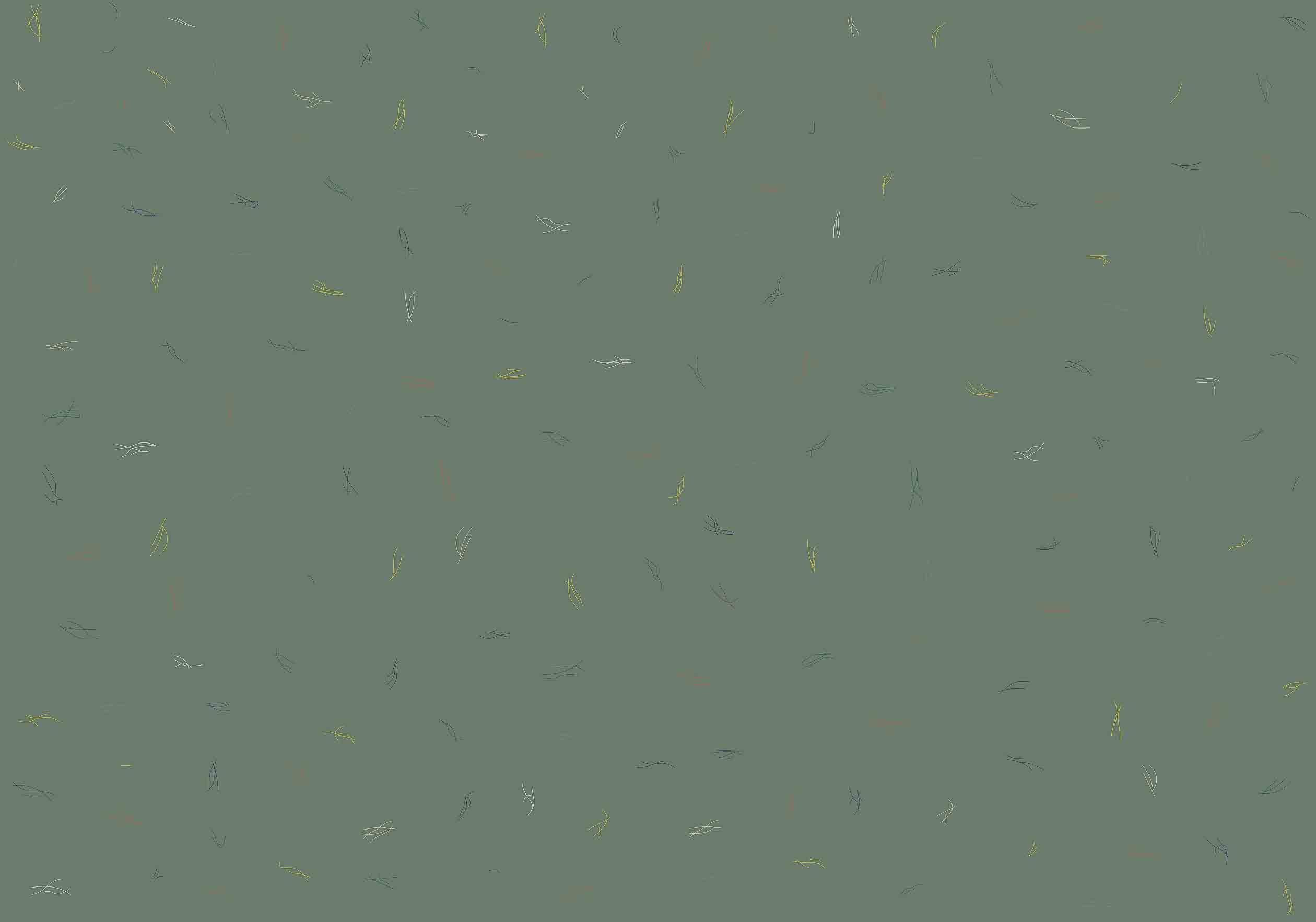 crd8000019-1