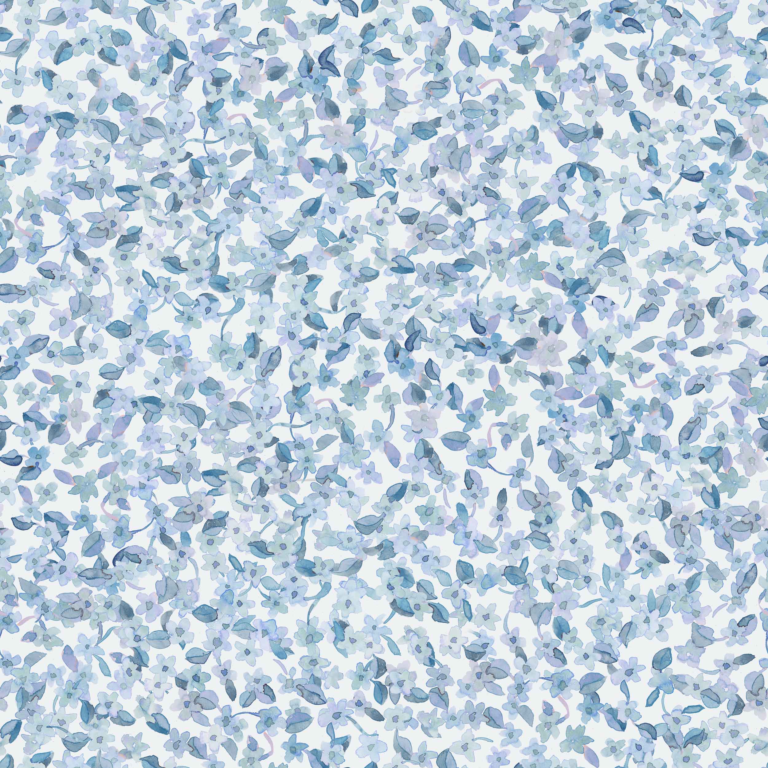 crda00224-1