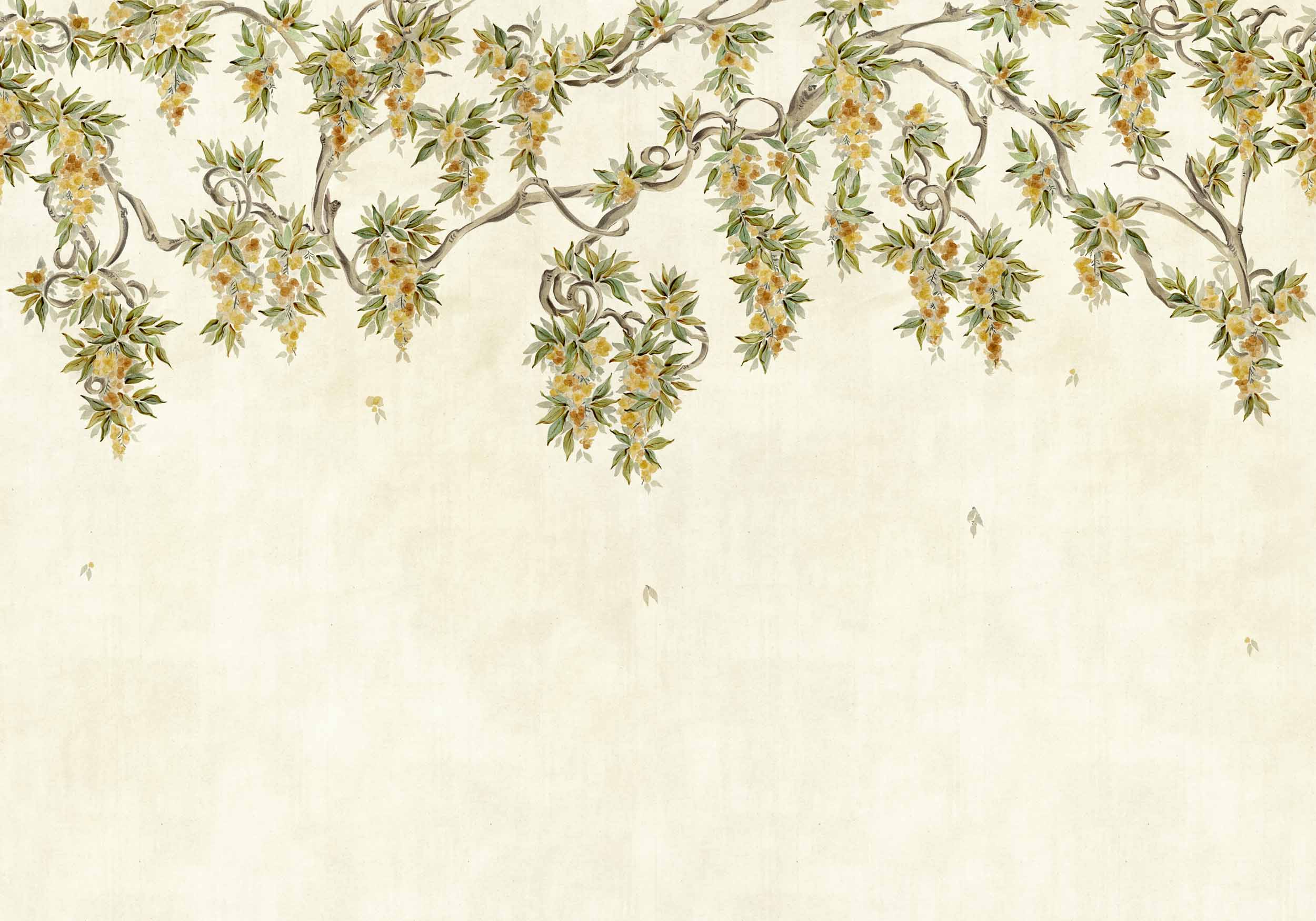 crdysp0640-1