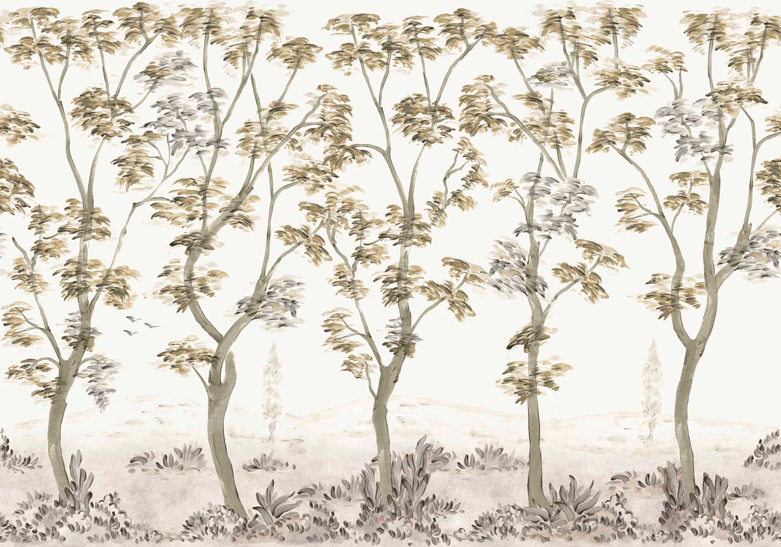 crdysp0646-1