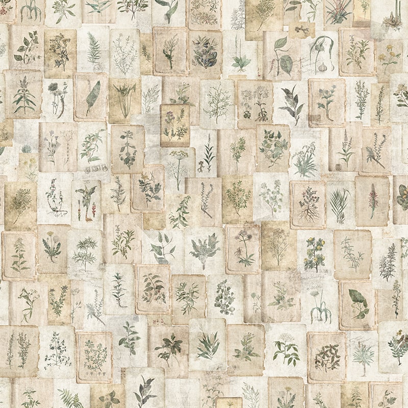 model-tapet-vintage-herbarium