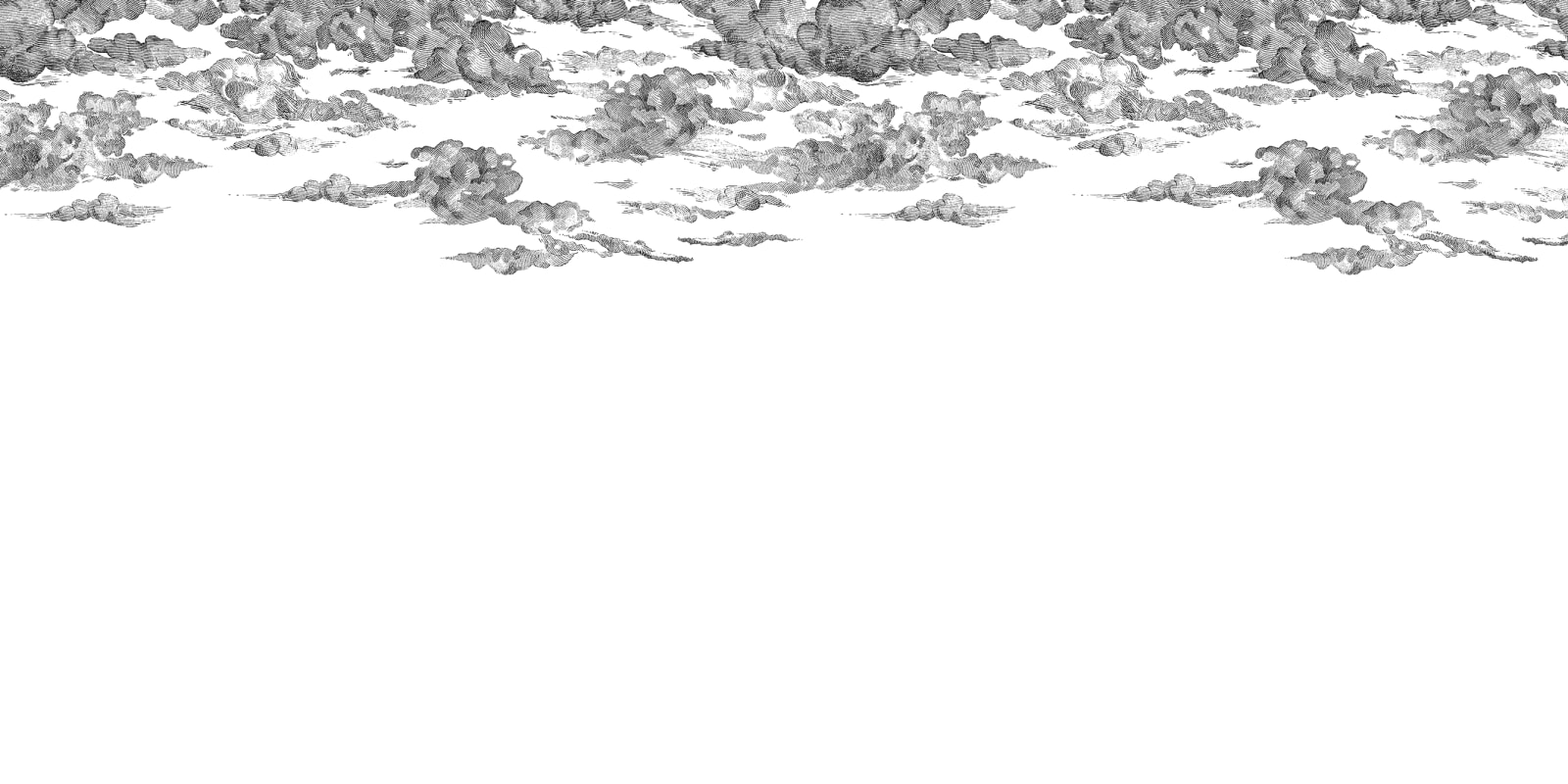 rbwr14511-1