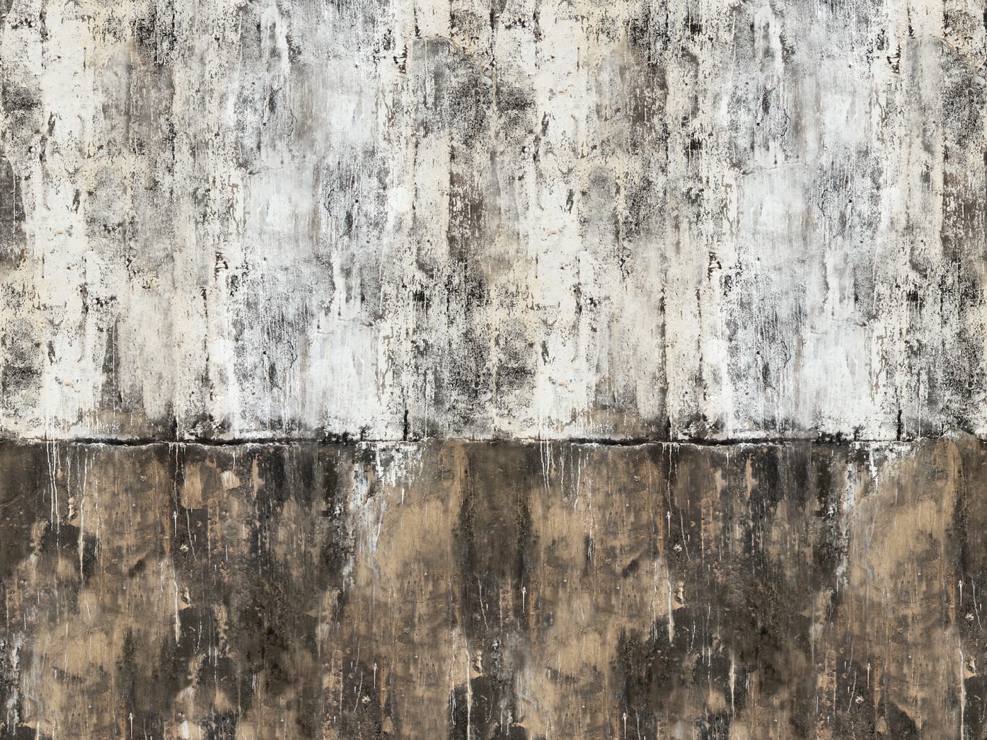 rbwr14981-1