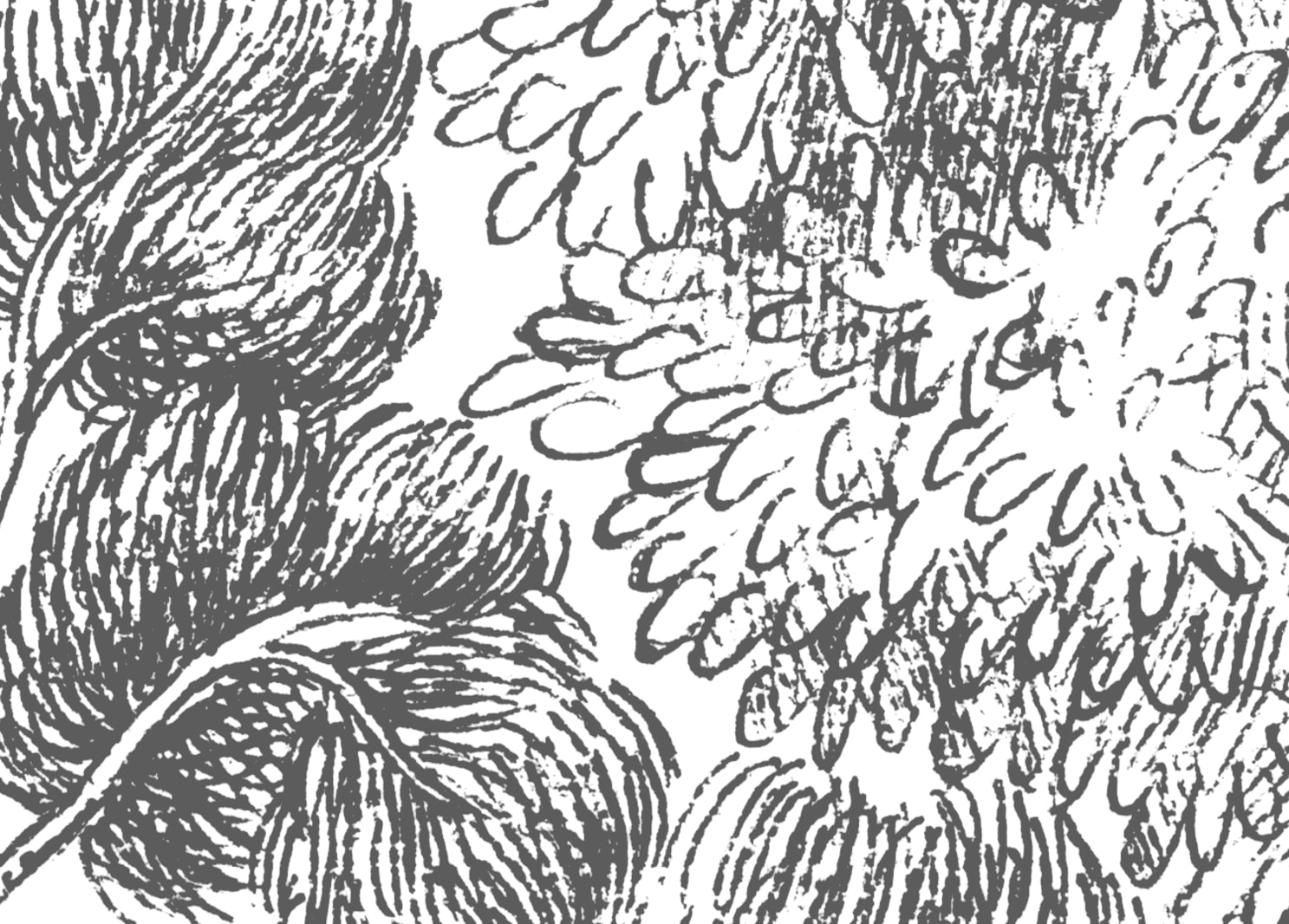 rbwr17201-5