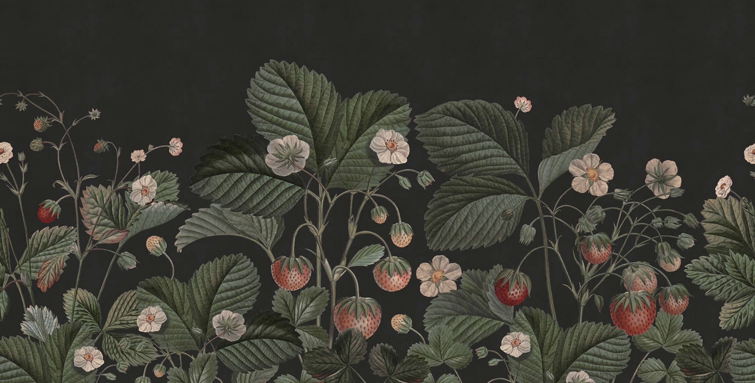 rbwr18696-3